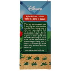 Disney Mickey's Mini-Garden - Stevia -Disney 56408 4 2