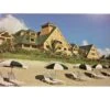 Disney Postcard - Disney's Vero Beach Resort