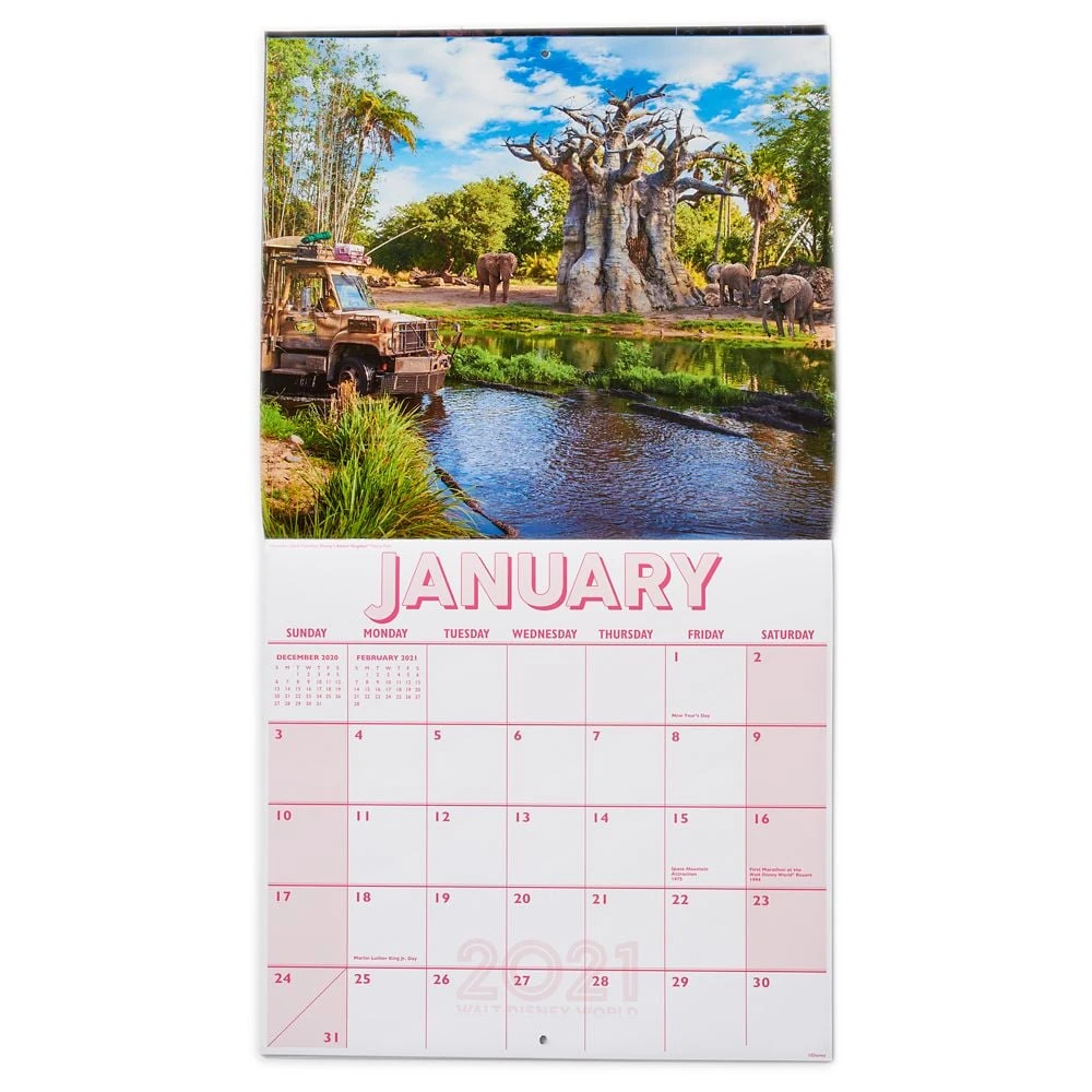 Disney Parks 16 Month Calendar - Walt Disney World - 2021 4 Disney Parks 16 Month Calendar - Walt Disney World - 2021 - Image 2