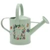 Disney Watering Can - 2022 Epcot Flower & Garden Minnie Floral Watering Can -Disney 92898