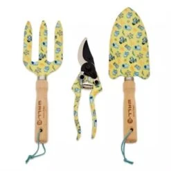 Disney Gardening - WALL-E And EVE